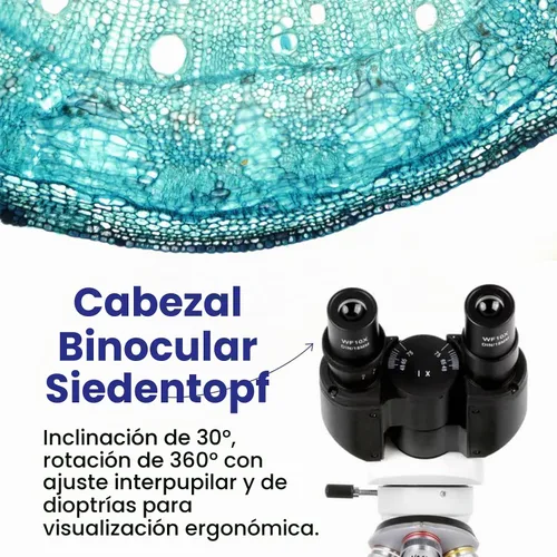 Vista 4 de AmScope Serie B120 Microscopio compuesto binocular LED para estudiantes y profesionales - Aumento 40X a 2500X - Incluye cámara USB 2.0 de 0.3MP