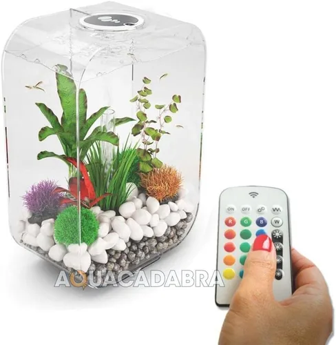 Vista 11 de biOrb Life 15 - Acuario acrílico de 4 galones con luces LED blancas, tanque compacto moderno para mesa o escritorio, negro