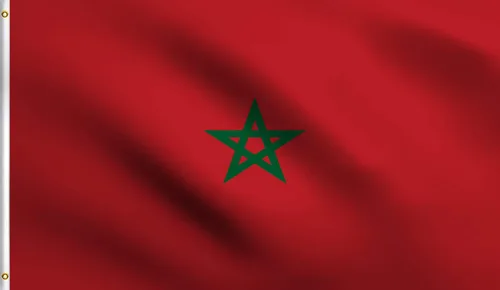 Vista 84 de DMSE - Bandera nacional beninesa beninesa de la República de África Occidental, 2 x 3 pies, 100 % poliéster, 100 % poliéster, resistente a los rayos