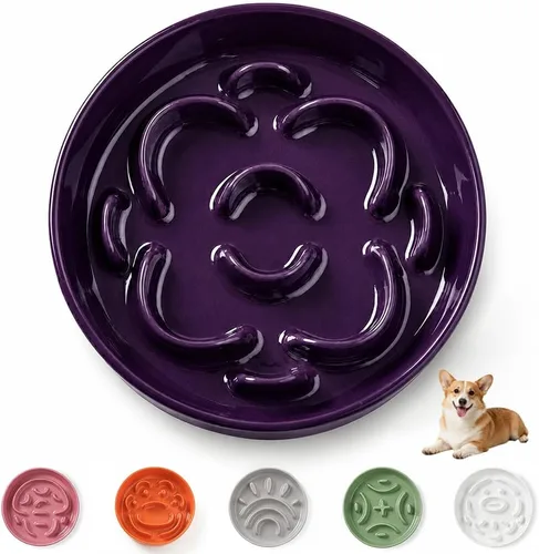 Vista 29 de Cuenco elevado para perros de alimentación lenta, 0.8 tazas de cerámica elevado con soporte inoxidable, cuenco elevado para perros de 6.3 pulgadas