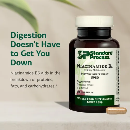 Vista 3 de Proceso estándar Niacinamida B6 - Apoya el metabolismo energético y la salud del sistema nervioso - Ayuda al flujo sanguíneo y la salud digestiva