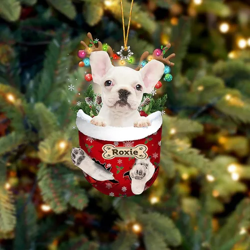 Vista 119 de LOVELYPOD Adorno Personalizado de Perro Affenpinscher, Adornos de Navidad Affenpinscher Regalo para Amante de Perros, Adorno de Navidad Colgante