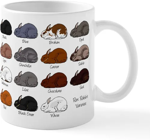 Vista 118 de CafePress Ascii - Taza de café de cerámica, taza de té, 11 onzas