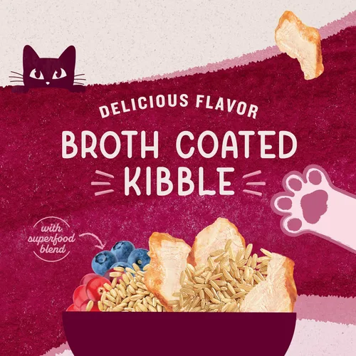 Vista 8 de Natural Balance Alimento ultra seco original para gatos, receta de harina de pollo y salmón, salud de todo el cuerpo para gatitos a gatos adultos, 6