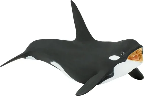Vista 2 de Safari Ltd. Figura de ballena asesina (Orca) – Figura detallada de modelo de plástico de 7 pulgadas – Divertido juguete educativo para niños, niñas