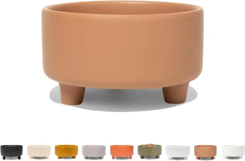 Vista 10 de Waggo Uplift - Tazón de cerámica para perros para razas pequeñas, medianas y grandes, pesado y duradero, para alimentos y agua, apto para Crema
