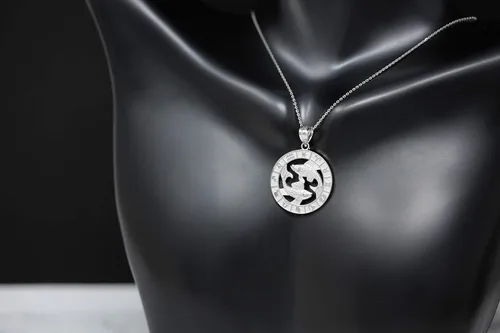 Vista 6 de CaliRoseJewelry Collar con colgante del zodiaco de plata de ley