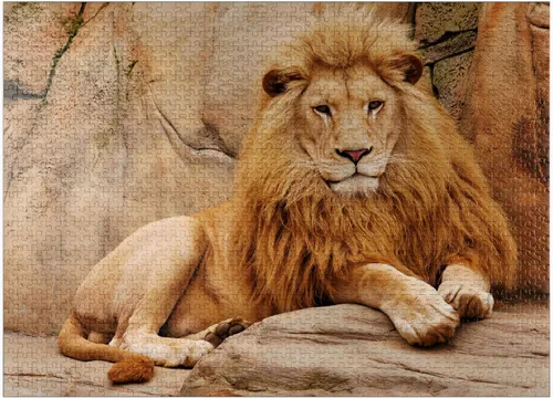 Vista 9 de MyPuzzle A Lion Relaxing On A Stone - Rompecabezas prémium de 100 piezas para adultos