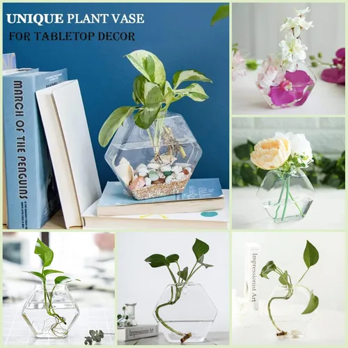 Vista 3 de Kingbuy Juego de Macetas Hexagonales de Pared - Paquete de 3 Jarrones de Terrario de Propagación de Vidrio con Soportes Colgantes para Plantas