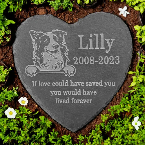 Vista 6 de Memorial personalizado de American Staffordshire Terrier, lápida de American Staffordshire Terrier, condolencias por pérdida de American