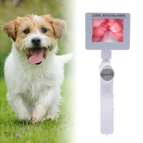 Vista 2 de Kit de inseminación artificial para perros, pistola de inseminación visual para ganado, pantalla ajustable, rotación de 360°, instrumento