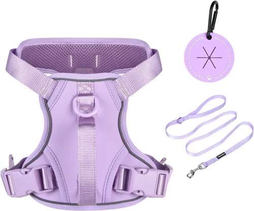 Vista 12 de Petmolico Arnés para perros pequeños, bonito arnés con dos clips para correa y mango suave, chaleco reflectante para cachorros fácil de caminar