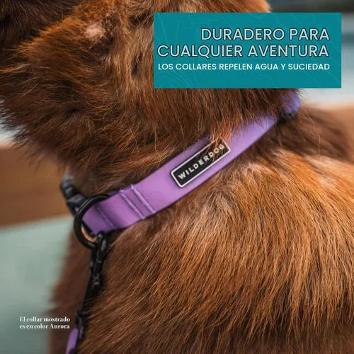 Vista 5 de Collar de perro impermeable Wilderdog – Repele el agua y la suciedad - Pequeño 11"-15" - Aurora