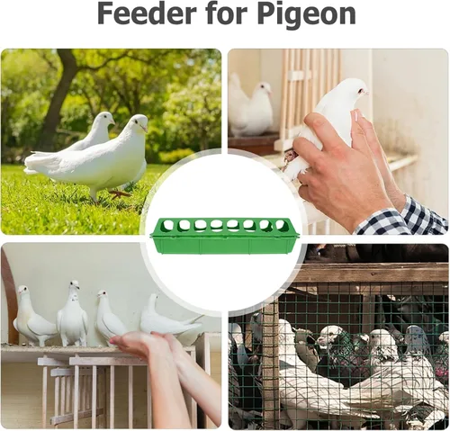 Vista 6 de DOITOOL Comedero de plástico para aves de corral con tapa abatible, 3 unidades, para palomas, codornices, patos, aves, bandeja de alimentación