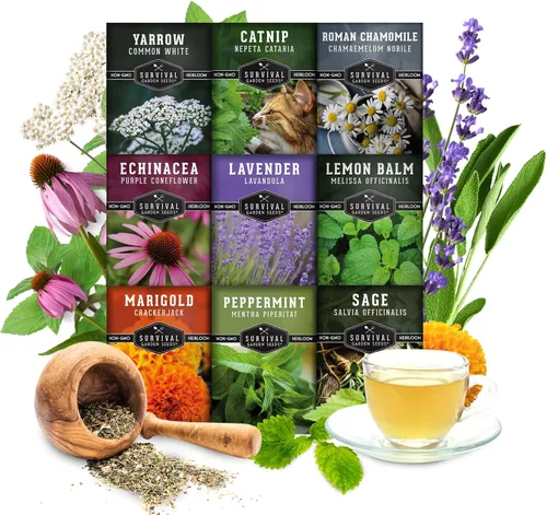 Vista 3 de Semillas de hierbas para té medicinal para sembrar Paquete de 9 variedades de hierbas autóctonas, sin OMG – Cultive tés herbales, remedios