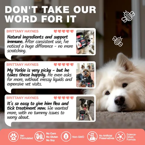 Vista 3 de Masticables para pulgas y garrapatas para perros - Prevención oral masticable de pulgas y garrapatas para perros Masticables de apoyo a pulgas