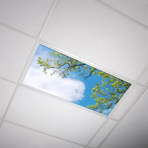 Vista 12 de OCTO LIGHTS Cubiertas fluorescentes de árbol para luces de techo 2x4 Árbol de acacia cielo azul