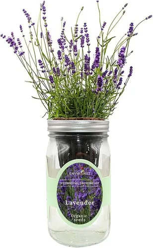 Vista 9 de Kit de Cultivo Hidropónico, Kit de Inicio de Jardín de Hierbas en Frasco Mason con Autoriego para Interiores, Jardín de Hierbas para Alféizar