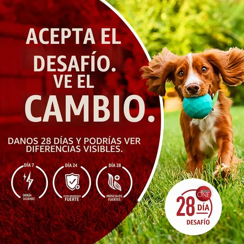 Vista 12 de Purina ONE True Instinct con salmón real y atún natural con vitaminas, minerales y nutrientes añadidos, fórmula seca de alimentos para perros