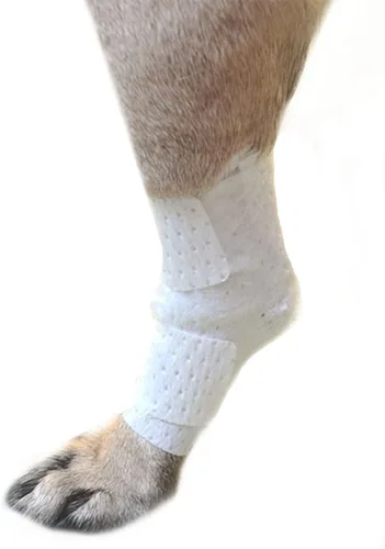 Vista 9 de PawFlex Vendajes para heridas articulares y de área grande para perros, gatos y otras mascotas. Ideal para esguinces de articulaciones de piernas