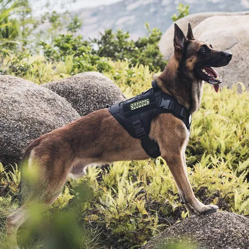 Vista 6 de OneTigris Chaleco Arnés Táctico para Perros, Chaleco para Perro de Servicio Sin Tirones con Paneles de Velcro, Arnés Chaleco Ajustable para Perros