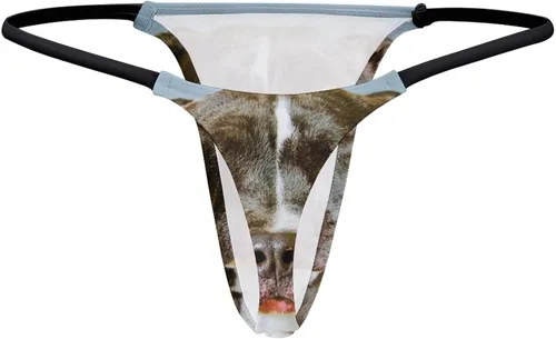 Vista 6 de Pit Bull - Tanga para perro para mujer, bragas sexys, ropa interior elástica con espalda en T