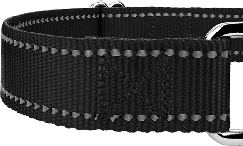 Vista 6 de Country Brook Petz - Vibrante selección de 8 colores - Collar de perro Martingala de nailon reflectante (pequeño, 3/4 pulgadas, negro)