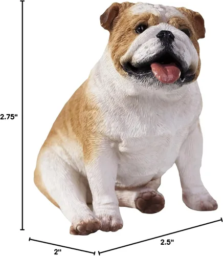 Vista 2 de Sandicast Escultura de bulldog cervatillo, sentado, tamaño pequeño