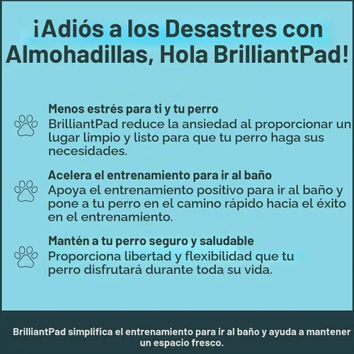Vista 4 de BrilliantPad Orinal inteligente autolimpiante para perros