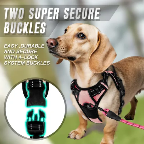 Vista 60 de BARKBAY - Arnés para perro sin tirones con clip frontal, material resistente y reflectante, asa de fácil control para pasear perros grandes