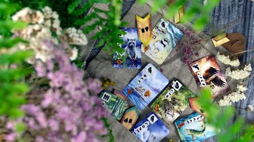 Vista 8 de Meadow Downstream Juego de mesa EXPANSIÓN Estrategia Aventura Naturaleza Diversión Familiar para Adultos y Niños a partir de 10 a 4 jugadores