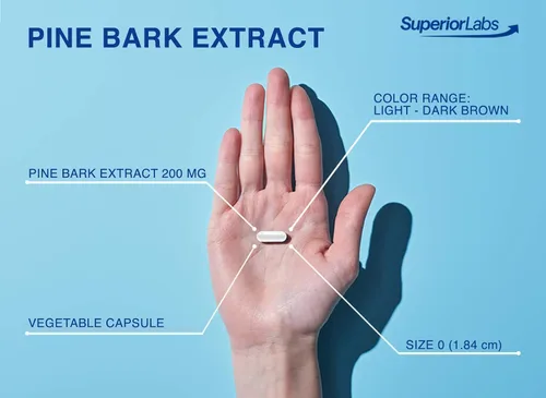 Vista 4 de Superior Labs Extracto de corteza de pino 200 mg, 95% OPC, circulación, 90