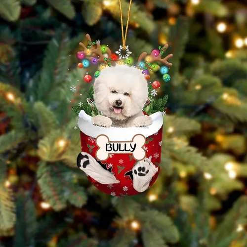 Vista 11 de IZI POD Affenpinscher Adorno de Navidad personalizado para perro, adorno de bolsillo de nieve para perro para árbol de Navidad, adorno acrílico
