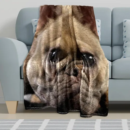 Vista 3 de Adorable manta de franela con fotos de Bulldog Francés, color marrón, ultra suave, acogedora, manta de felpa para sofá, silla, sala de estar, aire