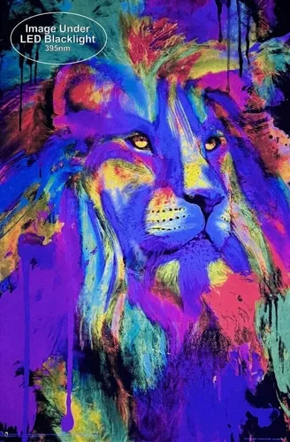 Vista 2 de Rainbow King by Aimee Stewart - Póster de luz negra no flocada, 24 x 36 pulgadas