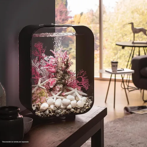 Vista 2 de biOrb Life 15 - Acuario acrílico de 4 galones con luces LED blancas, tanque compacto moderno para mesa o escritorio, negro