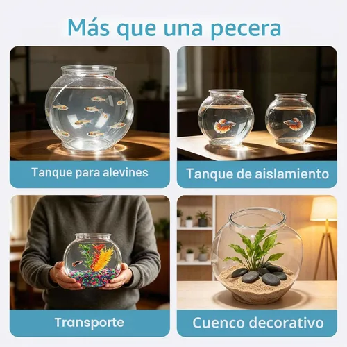 Vista 5 de Koller Products Pescadera ovalada de plástico de 1 galón, tanque de peces temporal para Betta Guppy Tetra Zebrafish Camarones, freír, aislamiento
