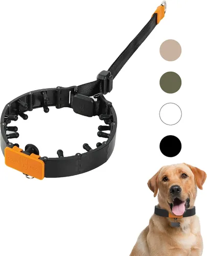 Vista 7 de SVD.PET Collar de punta para perro para entrenamiento sin tirones, hebilla de liberación rápida ajustable para perros pequeños