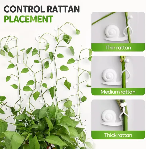 Vista 4 de Clips de pared para escalada de plantas, clips de soporte para plantas 2025, clips de jardín reutilizables, clips de soporte para plantas