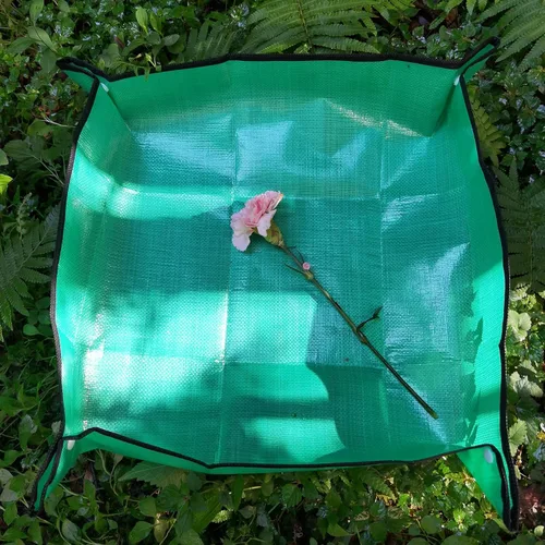 Vista 6 de Hábitat de mariposas con bandeja de caca de cacao, jaula de mariposa monarca con bandeja de caca de 24 pulgadas de alto