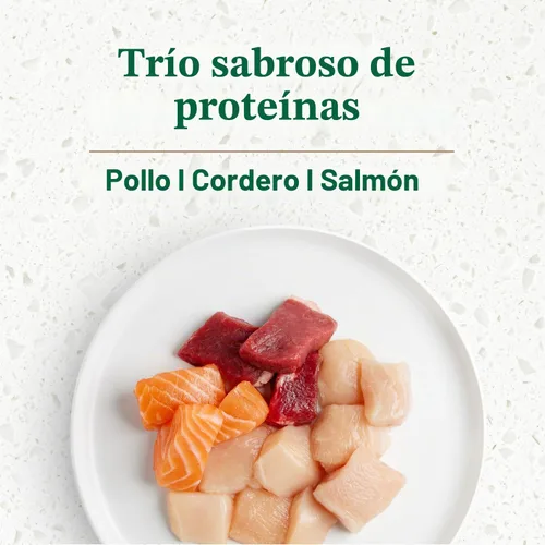 Vista 4 de Nutro Ultra High Protein - Alimento seco para perros mayores, pollo, cordero y salmón, 13 libras