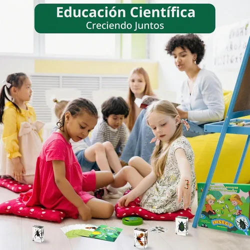 Vista 6 de Specimen de Insectos en Resina, 12 PIEZAS Colección Educativa Científica de Insectos, Specimens Reales de Varias Mariposas y Escarabajos