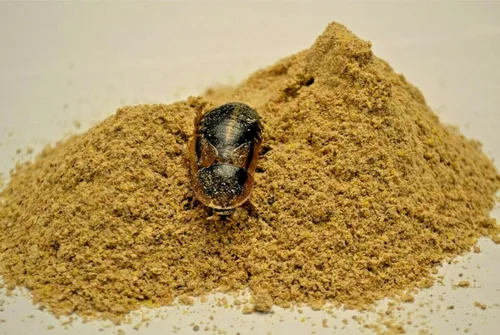 Vista 2 de 1/2 libra de cucaracha y grillo Chow - Proteína equilibrada, dieta fortificada con calcio por comederos de cinco estrellas - Bolsa de Mylar