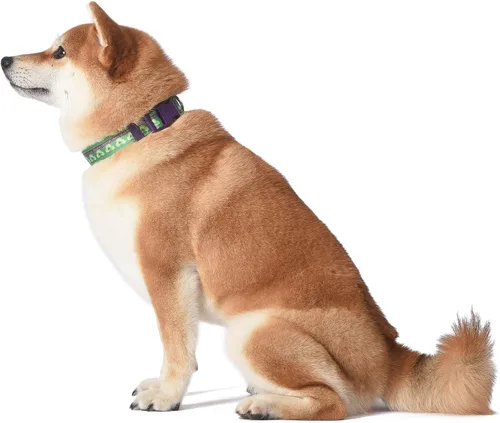 Vista 7 de Marvel Comics The Hulk Dog Collar, pequeño verde y morado Collar para perro con licencia oficial de Marvel The Incredible Hulk Collar de perro