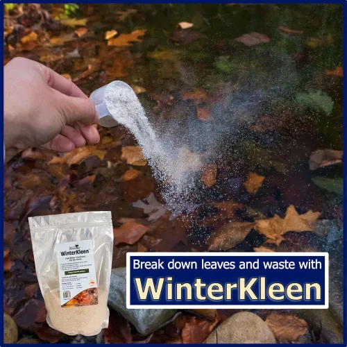 Vista 3 de WinterKleen - Bacterias de otoño e invierno para estanques Koi Pond Winterizer, digestor de hojas, limpiador natural - Potentes enzimas