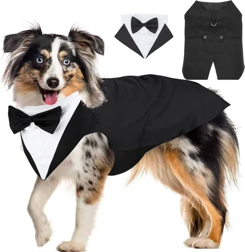 Vista 27 de Collar de corbatín negro para gato Segarty, lindo esmoquin para cachorros con corbatín para perros con collar blanco ajustable hecho a mano