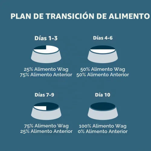 Vista 6 de Marca Amazon - Wag Nutrición Premium para Perros Adultos, Alimento Seco, Apoya la Salud del Estómago y la Piel, Carne de Res y Arroz Integral, Bolsa