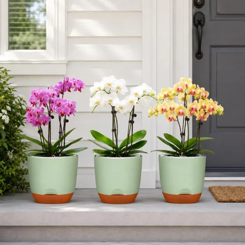 Vista 5 de QCQHDU Macetas de orquídeas de 7.2 pulgadas con agujeros para trasplantar, macetas de plástico de doble capa con riego automático para plantas