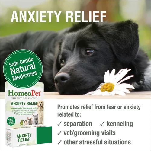 Vista 2 de HomeoPet Medicina para aliviar la ansiedad para mascotas, alivio natural de la ansiedad para perros y gatos, medicina calmante para gatos y perros