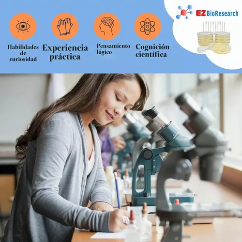 Vista 7 de Kit de ciencias de bacterias EZ Bioresearch (IV): kit de proyecto de ciencias Placas de agar LB preparadas e hisopos de algodón Exclusivo libro